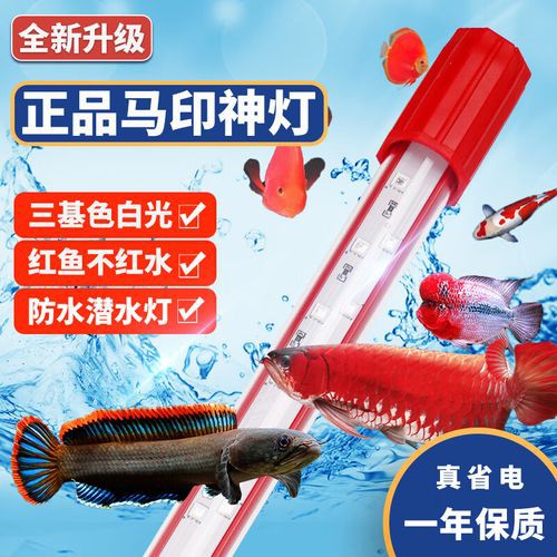 什么龍魚燈最好用