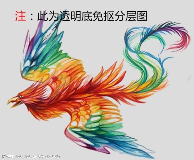 古龍有哪些彩色照片？