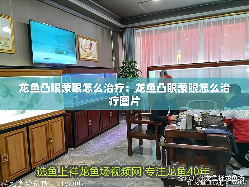 龍魚蒙眼能喂食嗎 龍魚蒙眼能喂食嗎 龍魚百科 第6張