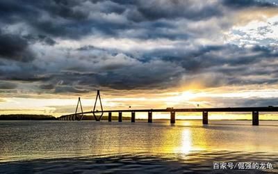 龍魚的晝夜活動模式（龍魚白天睡覺晚上活躍）