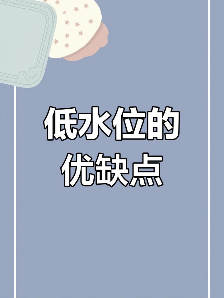 如何設置低水位養龍魚的環境？