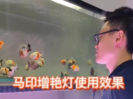 馬印神燈和吉印刀鋒S哪個(gè)更好？