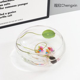 寶龍魚缸實體店價格