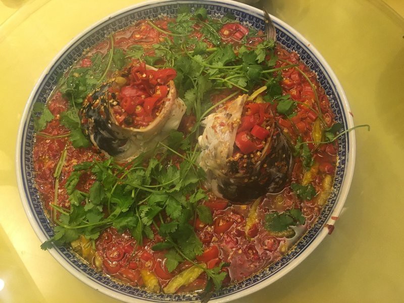 湘潭九龍魚(yú)頭店賣(mài)蛇被抓視頻