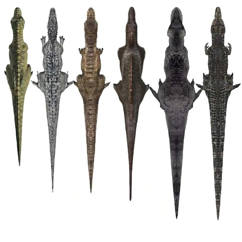 品相好的紅龍魚品種圖片欣賞