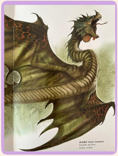 品相好的紅龍魚品種圖片欣賞