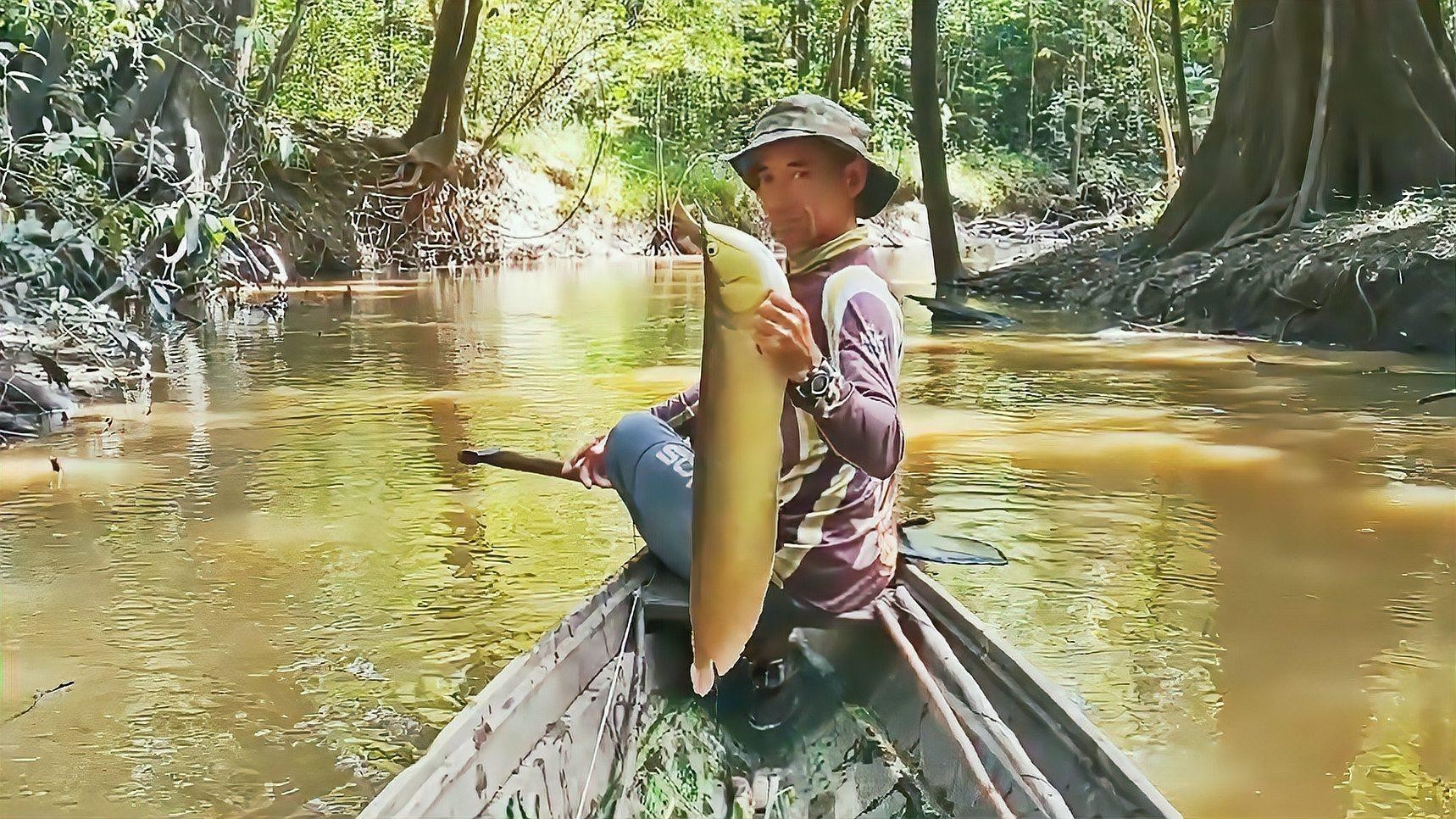 銀龍魚有過背的嗎怎么養