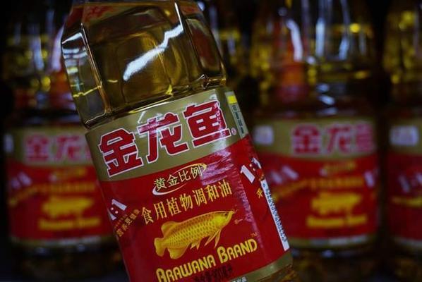 紅龍魚正常生長速度是多少啊視頻（紅龍魚正常生長速度是多少啊視頻講解） 紅龍魚正常生長速度是多少啊視頻（紅龍魚正常生長速度是多少啊視頻講解） 龍魚百科