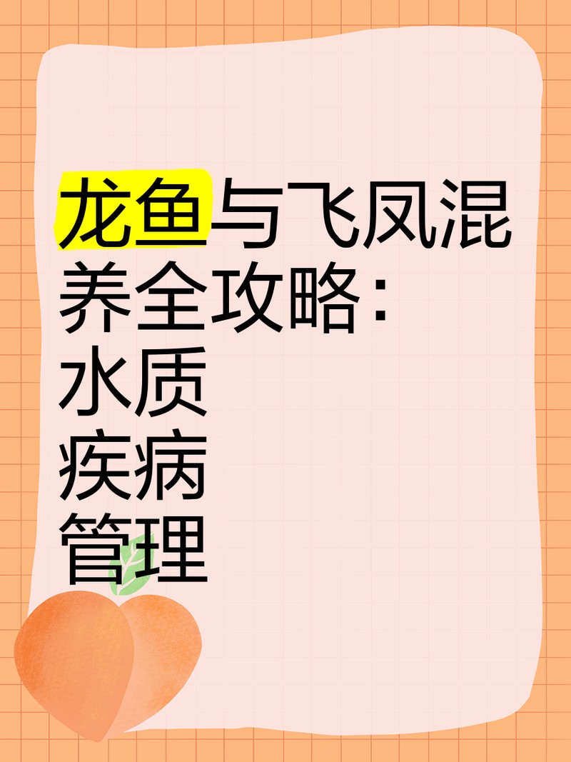龍魚和飛鳳魚混養需要注意什么？