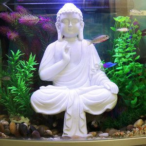 水族箱造景藝術佛像擺件:佛像與魚缸如何搭配 魚缸百科 第3張 水族箱造景藝術佛像擺件:佛像與魚缸如何搭配 水族箱造景藝術佛像擺件:佛像與魚缸如何搭配 魚缸百科 第3張