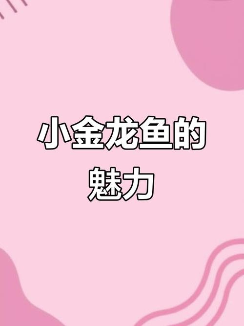 馬來西亞龍魚和新加坡龍魚的區(qū)別圖片大全