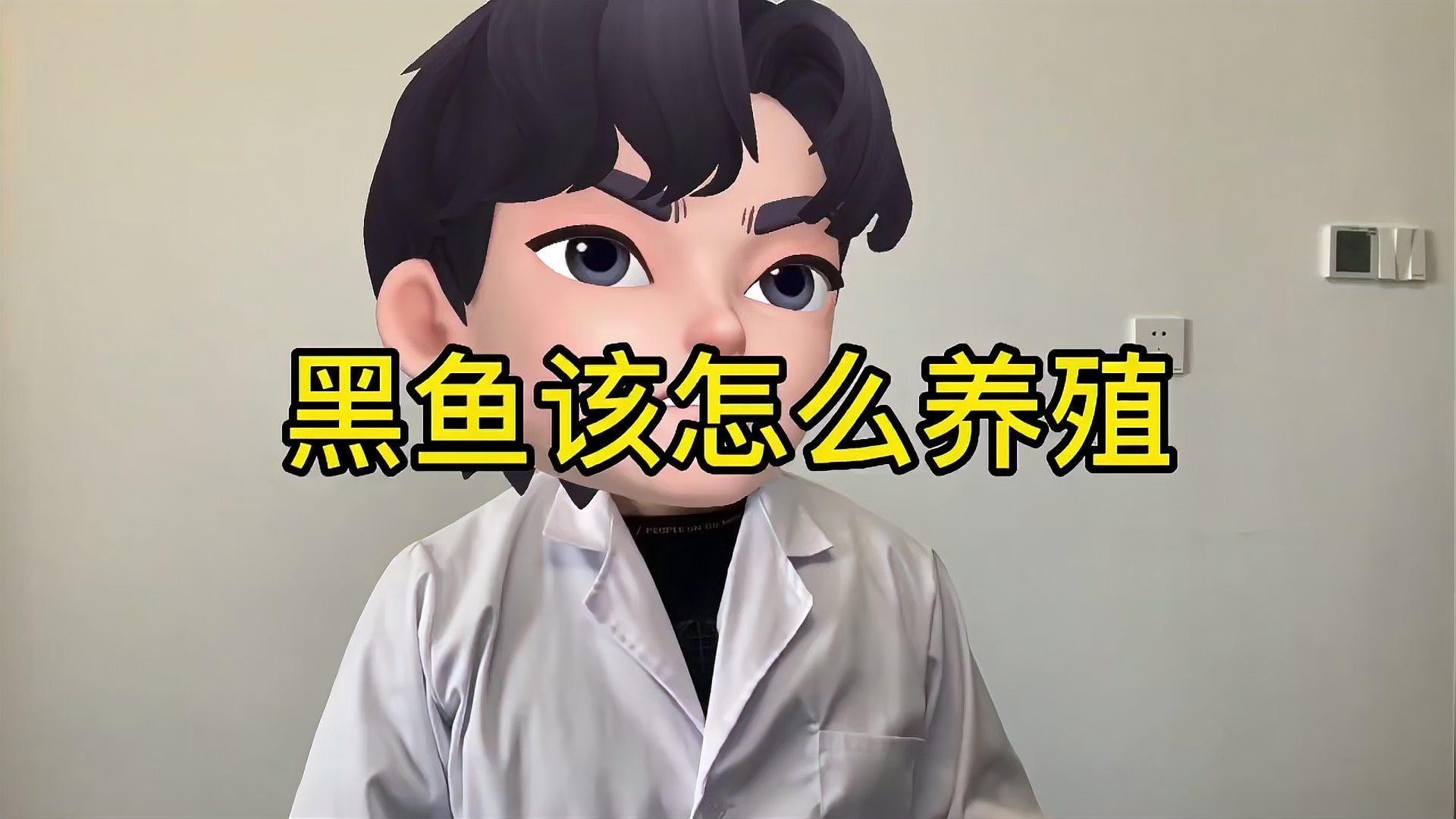 黑魚 魚缸 龍魚怎么養(yǎng)活的