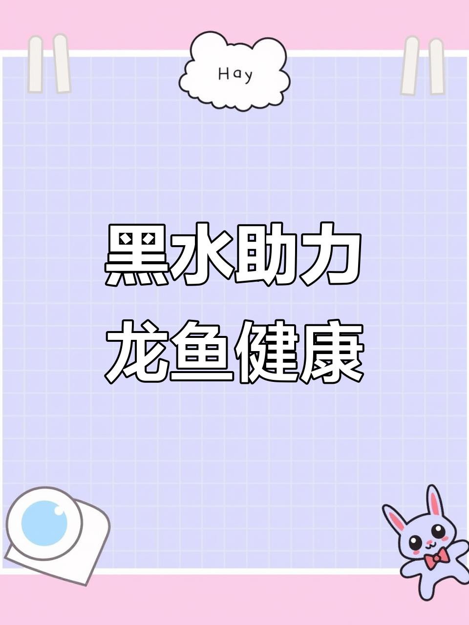 怎樣改善黑鱗龍魚的水質(zhì)？