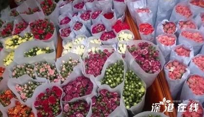 深圳水族批發市場（深圳最大水族批發市場是深圳海洋世界水族批發市場）
