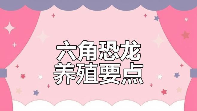 六角恐龍魚的飼養