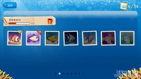 開心水族箱魚群 開心水族箱魚群 龍魚百科 第1張