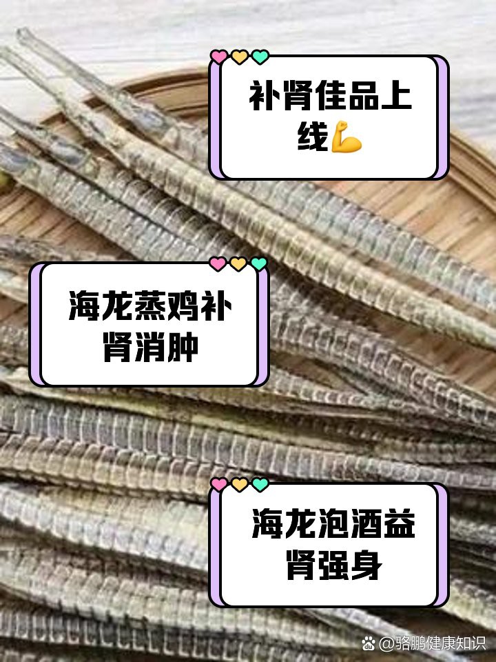 淡水海龍魚好養嗎怎么養活