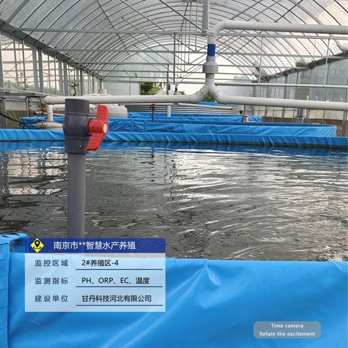 淡水海龍魚好養嗎怎么養活