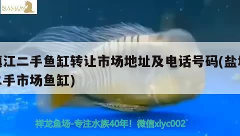 鎮江二手魚缸轉讓市場地址及電話號碼(鹽城二手市場魚缸)