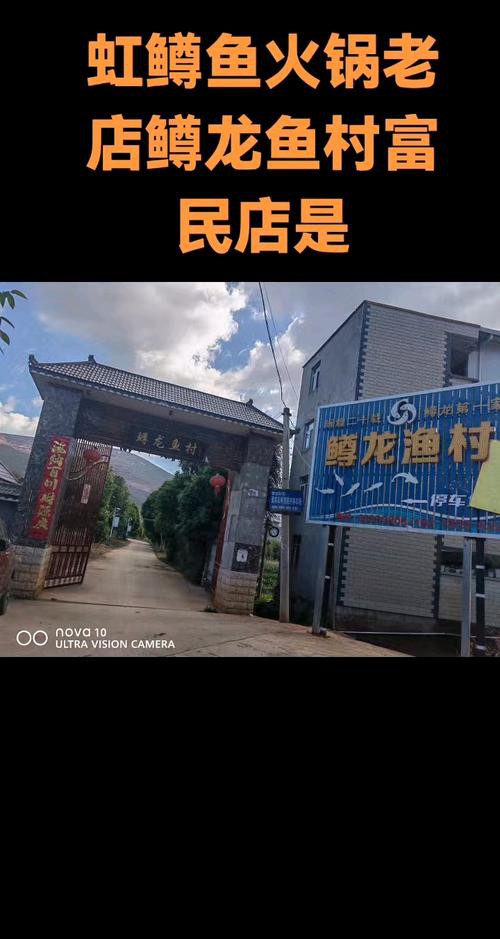 昆明龍魚市場