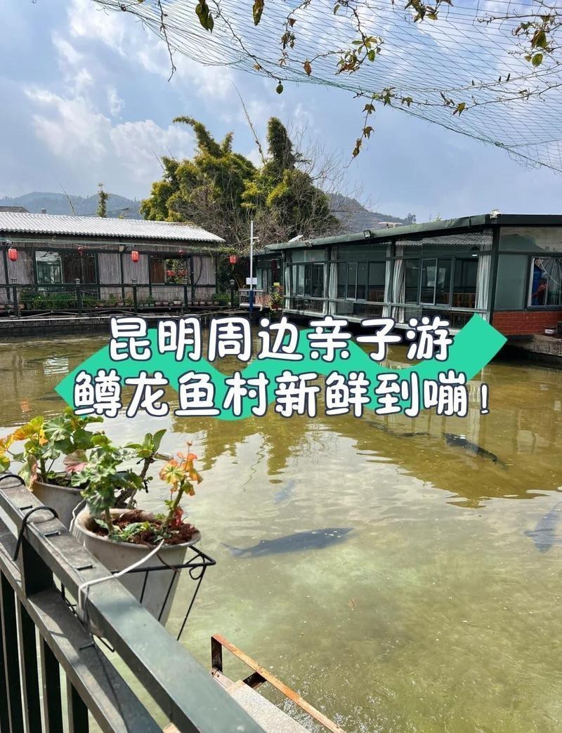 昆明龍魚市場