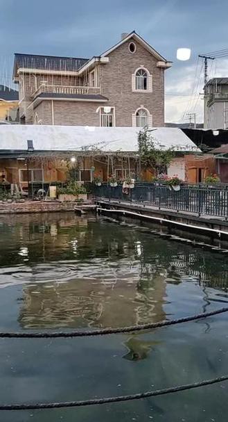 昆明龍魚市場