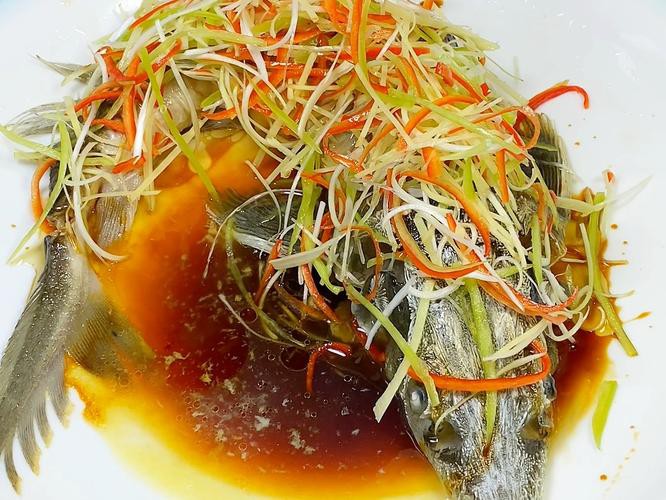 清蒸鱘龍魚圖片真實 清蒸鱘龍魚圖片真實 龍魚百科 第15張