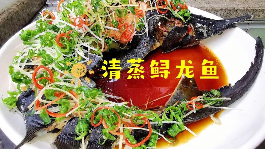 清蒸鱘龍魚圖片真實 清蒸鱘龍魚圖片真實 龍魚百科 第22張
