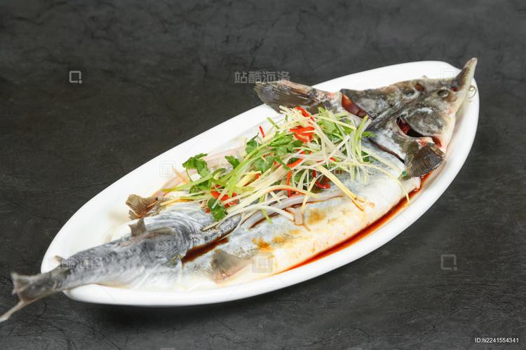 清蒸鱘龍魚圖片真實 清蒸鱘龍魚圖片真實 龍魚百科 第25張