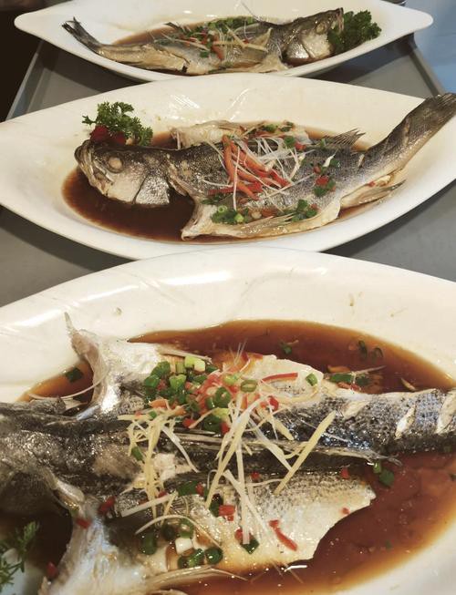 清蒸鱘龍魚圖片真實 清蒸鱘龍魚圖片真實 龍魚百科 第29張
