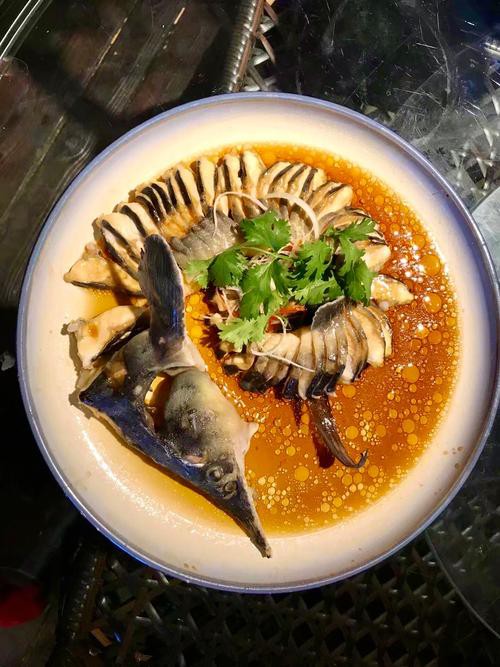 清蒸鱘龍魚圖片真實 清蒸鱘龍魚圖片真實 龍魚百科 第26張