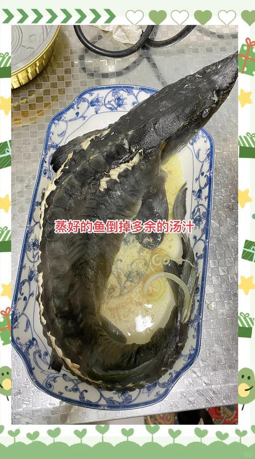 清蒸鱘龍魚圖片真實 清蒸鱘龍魚圖片真實 龍魚百科 第4張