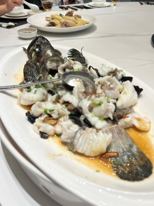 清蒸鱘龍魚圖片真實 清蒸鱘龍魚圖片真實 龍魚百科 第38張