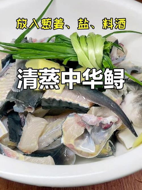 清蒸鱘龍魚圖片真實 清蒸鱘龍魚圖片真實 龍魚百科 第16張