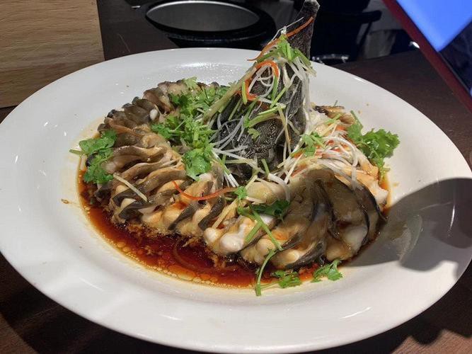 清蒸鱘龍魚圖片真實 清蒸鱘龍魚圖片真實 龍魚百科 第37張