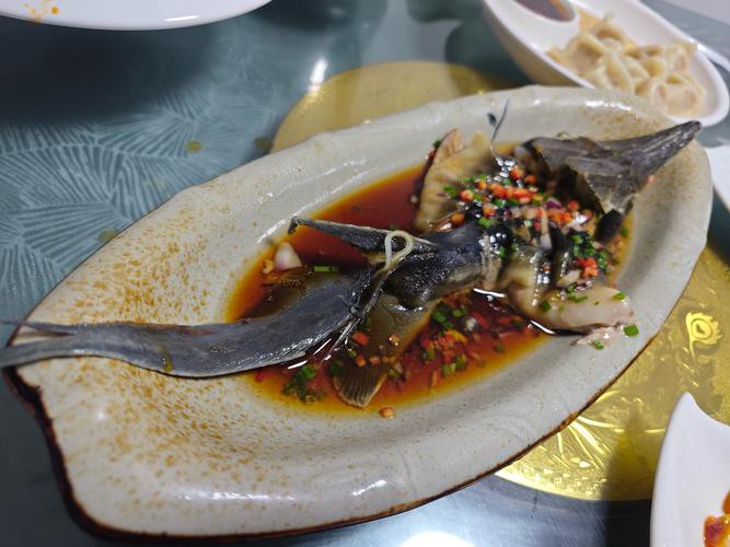 清蒸鱘龍魚圖片真實 清蒸鱘龍魚圖片真實 龍魚百科 第32張