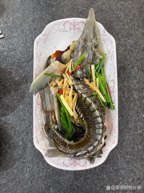 清蒸鱘龍魚圖片真實 清蒸鱘龍魚圖片真實 龍魚百科 第36張