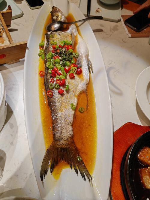 清蒸鱘龍魚圖片真實 清蒸鱘龍魚圖片真實 龍魚百科 第40張