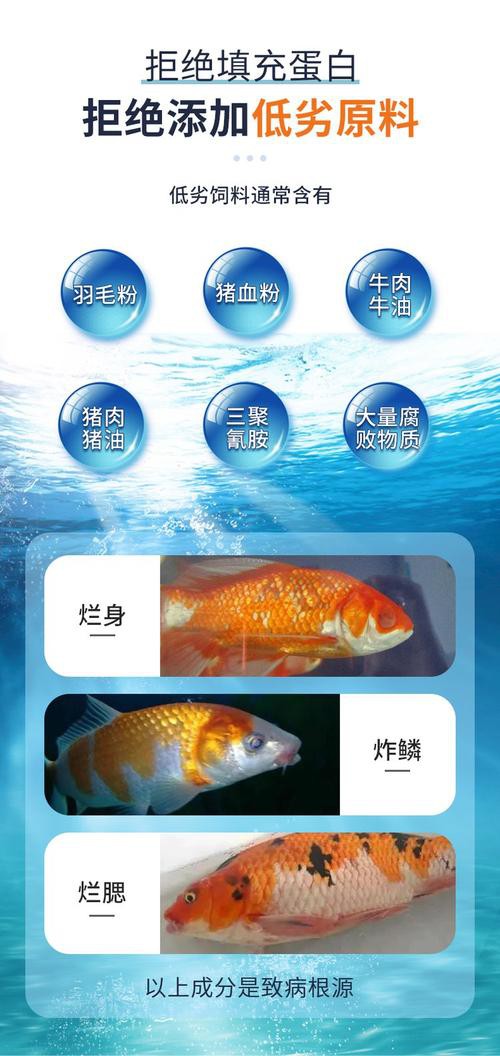 有哪些品牌發(fā)色飼料推薦？
