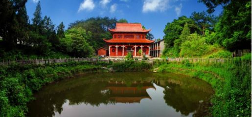 龍魚與和尚魚的區別：龍魚與和尚魚的區別：龍魚和和尚魚的區別，和尚魚水質要求詳解