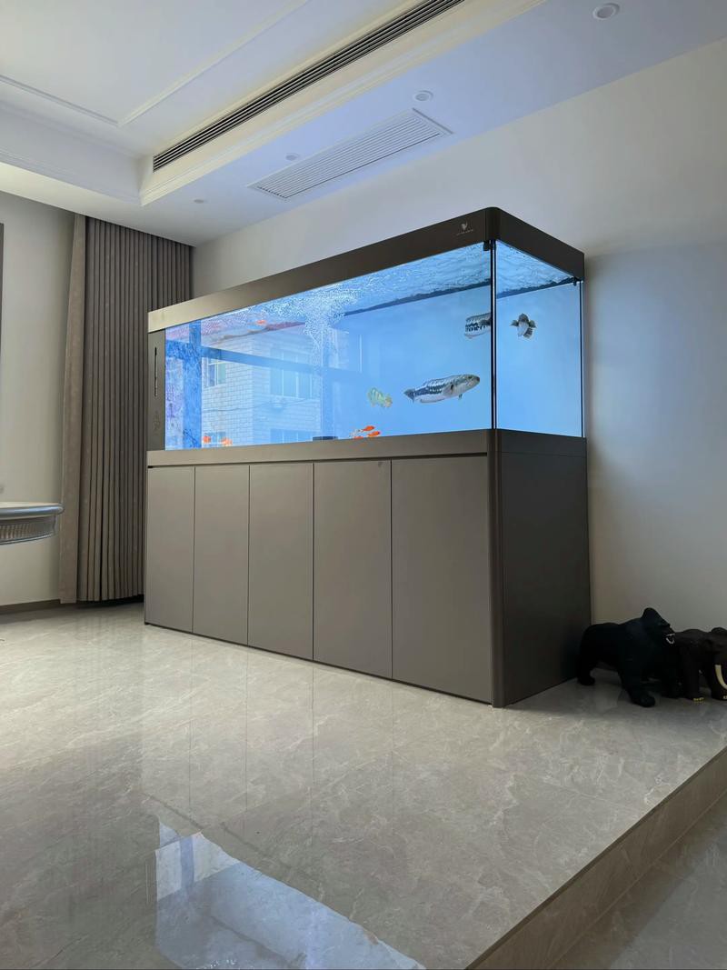 金九龍魚(yú)缸安裝圖 龍魚(yú)百科 第16張 金九龍魚(yú)缸安裝圖 金九龍魚(yú)缸安裝圖 龍魚(yú)百科 第16張