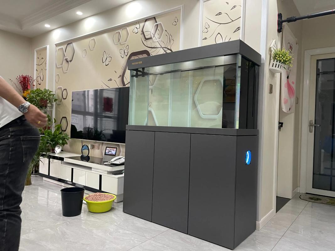 金九龍魚(yú)缸安裝圖 龍魚(yú)百科 第9張 金九龍魚(yú)缸安裝圖 金九龍魚(yú)缸安裝圖 龍魚(yú)百科 第9張