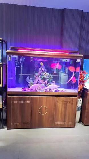 金九龍魚(yú)缸安裝圖 龍魚(yú)百科 第2張 金九龍魚(yú)缸安裝圖 金九龍魚(yú)缸安裝圖 龍魚(yú)百科 第2張