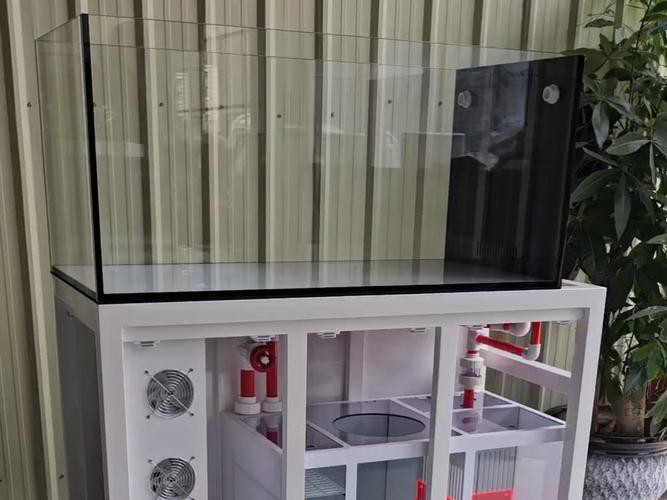 金九龍魚(yú)缸安裝圖 龍魚(yú)百科 第21張 金九龍魚(yú)缸安裝圖 金九龍魚(yú)缸安裝圖 龍魚(yú)百科 第21張