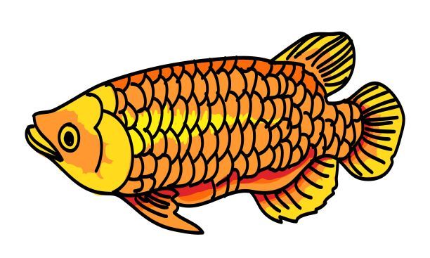 金龍魚(yú)頭像卡通人物：金龍魚(yú)頭像卡通人物的設(shè)計(jì)