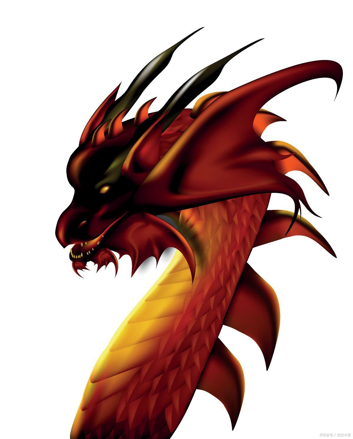 紅龍在玄學里代表什么，紅龍在玄學中具有多重象征意義，代表權勢、高貴與尊榮