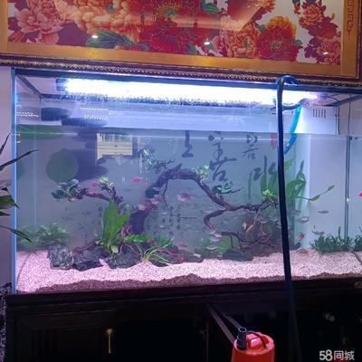 58同城魚缸維修