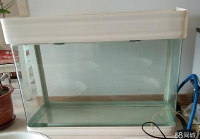 58同城魚缸維修