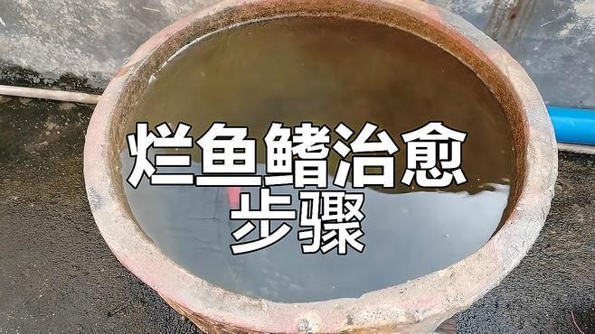 龍魚鰭爛手術后多久能恢復