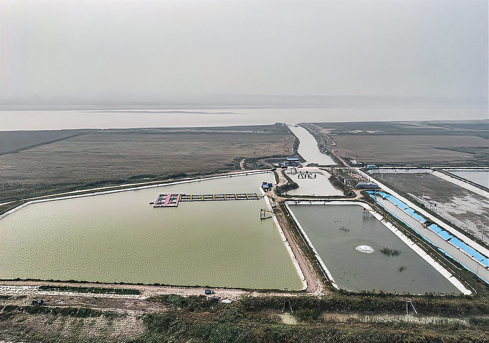 菏澤龍魚會(huì)館在哪里 菏澤龍魚會(huì)館在哪里 龍魚百科 第2張
